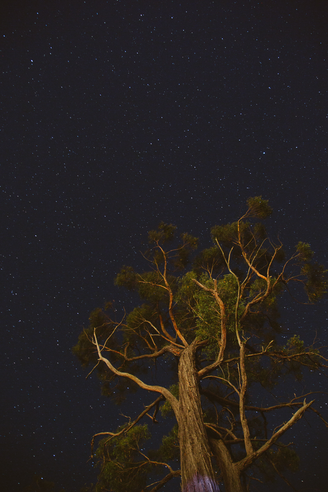 Chris and Crissy-1021