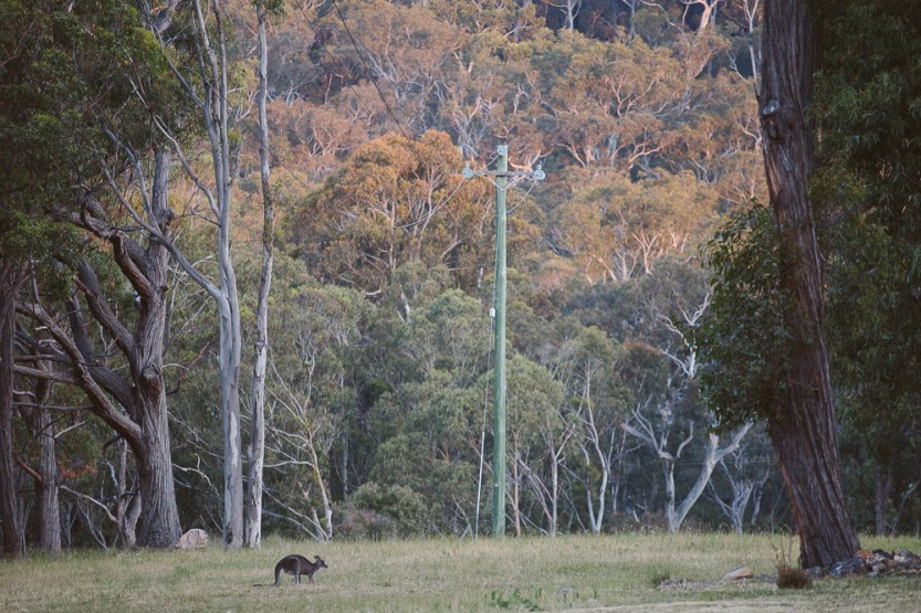 Chris and Crissy-821