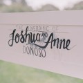 Josh and Anne-400