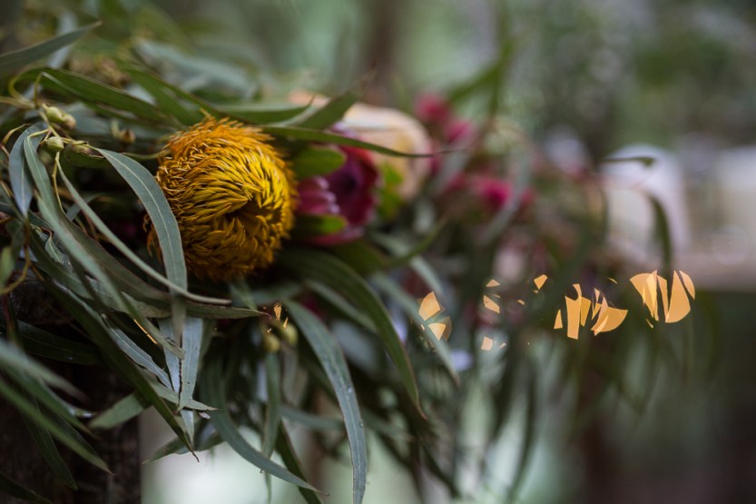 Micheal and Carlie_0182