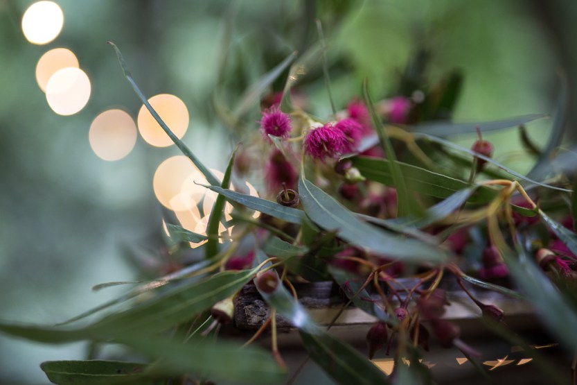 Micheal and Carlie_0184