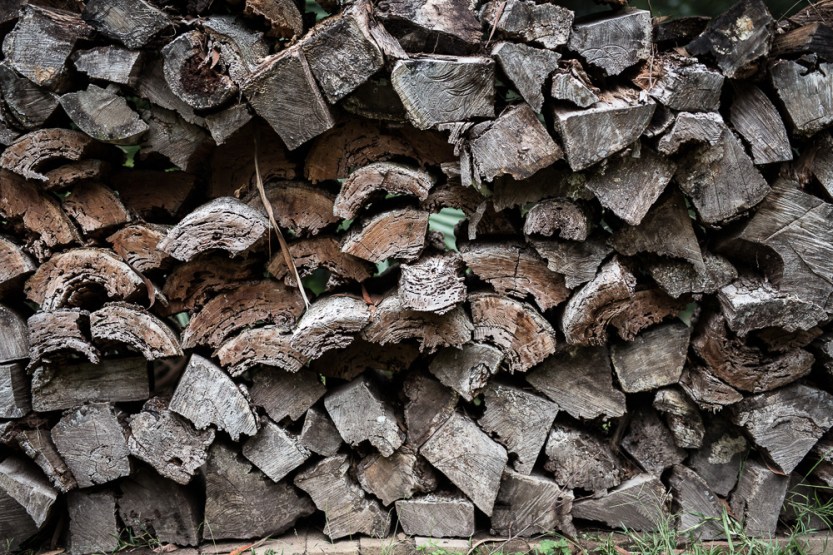 Micheal and Carlie_0706