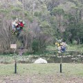 untitled-338