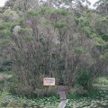 untitled-39