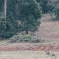 untitled-494