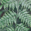 untitled-612