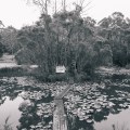 untitled-735